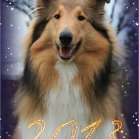 Ons kerstkaartje 2012