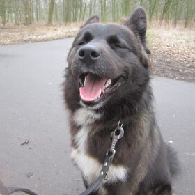 smile