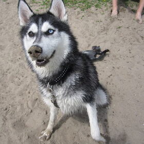 zand neus