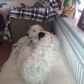 samen
