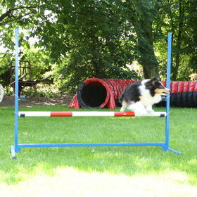 Hondenfoto van van de Bremershelties