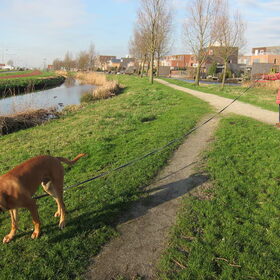 Een wandeling volgens het boekje... Eerst wordt de lijn op zijn…