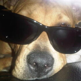 Hey you! Wanna chill???