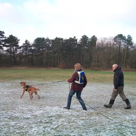 en daar werd moeders voortgesleept over het veld. Op zoek naar…