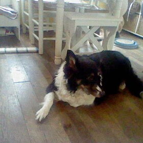 melody R.I.P lieverd van me