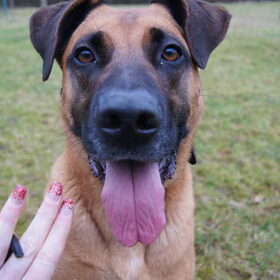 High five Denzel