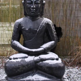 Zoek buddha