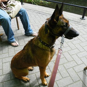 Wat is dat nu weer????