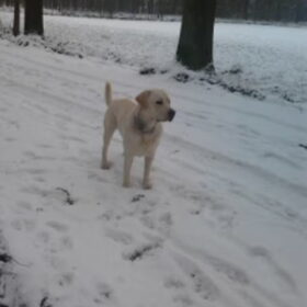 even huppelen