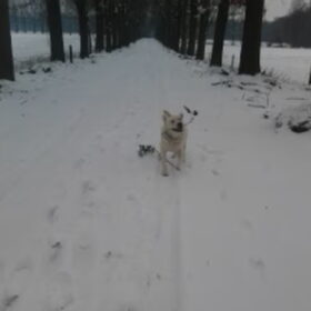 even gek doen