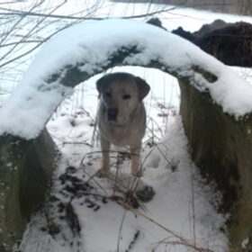 ik moest even kijken wat er in de tunnel was, dat was echt reuze…