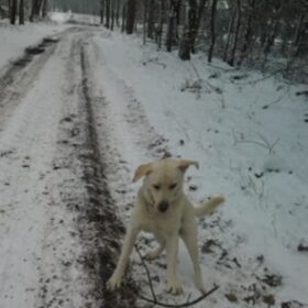 weer even gek doen haha.