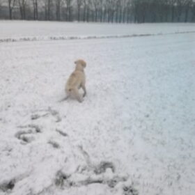 hier ging ik even rennen, maar het was glad