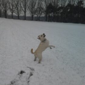 even springen voor de foto