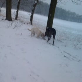 Ik en Spetter spelen