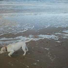 Heerlijk op het strand, mijn favoriete plek