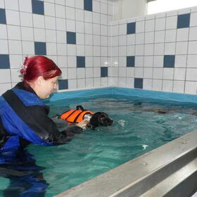 Rupert met de trainster. eerste zwemles