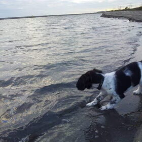 kennismaken met het water