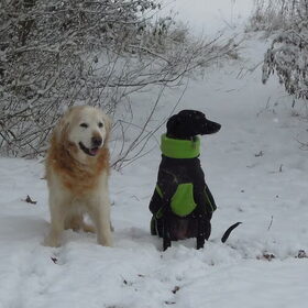 samen op de kiek