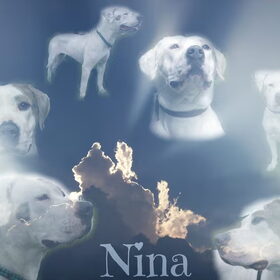 16-01-2013: al een half jaar zonder mijn meisje :'( Nog steeds…