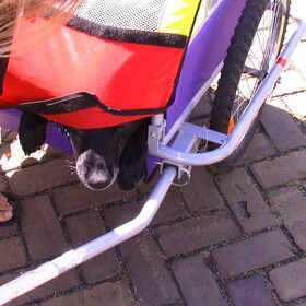 nog ff checke