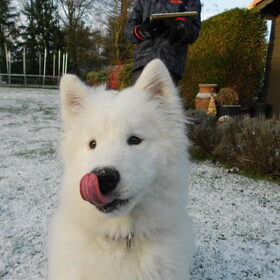 mikai 15/1/13