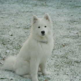 mikai 13/1/13!!!!!!!!!!!!!!!!