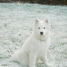 mikai 13/1/13