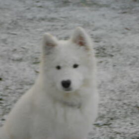mikai 13/1/13