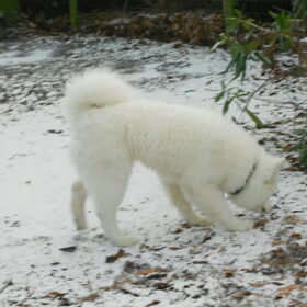 mikai 13/1/13