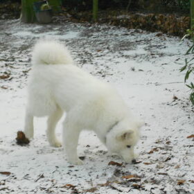mikai 13/1/13