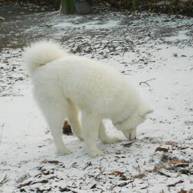 mikai 13/1/13