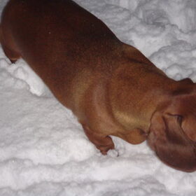 De eerste sneeuw,spannend wel!!
