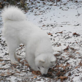 mikai 13/1/13