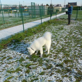 mikai 13/1/13