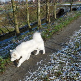 mikai 13/1/13