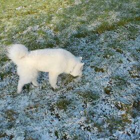 mikai 13/1/13
