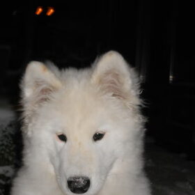 mikai 15/1/13