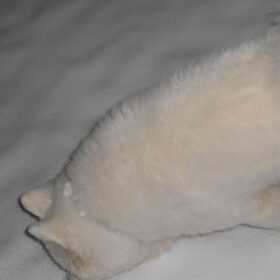 mikai 15/1/13