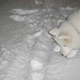 mikai 15/1/13