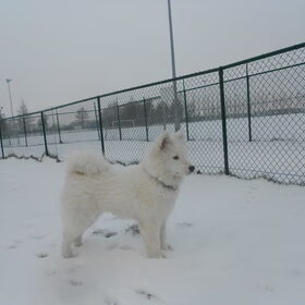mikai 15/1/13