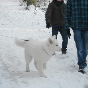 wandelen met vrienden 16/1/13