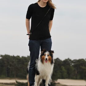 Hondenfoto van Simone, Cody en Flynn