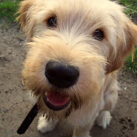 Lief koppie heeft Matchy he?