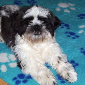 Hier is onze nieuwe aanwinst: Benjamin!!! Deze lieve schat heb…