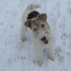 Lieve Lotje!!!