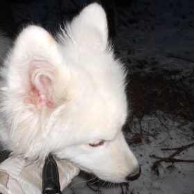 mikai 18/1/13
