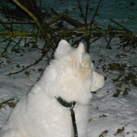 mikia 18/1/13