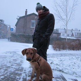 Wandelen in de sneeuw