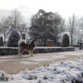 Ons fotomodel :)